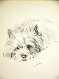 a drawing of a small dog laying down