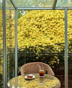 a glass table with a plate of food on it in front of a yellow flowering tree