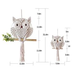 two owls on a branch with measurements for each one