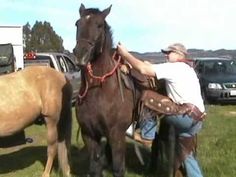 a man sitting on top of a horse next to another horse