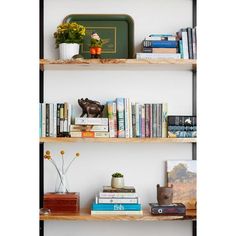 three wooden shelves filled with books and plants