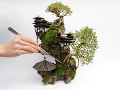 a person is holding a knife near a bonsai tree with houses on it and trees growing out of the rocks