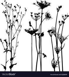 four different types of wildflowers are shown in silhouette against a white background,