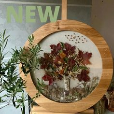 a wooden frame with dried flowers and leaves on it next to a potted plant