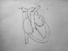 a drawing of a person doing a handstand on a toilet seat with one leg in the air