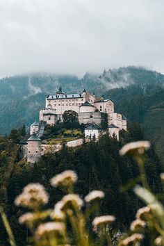 a castle on top of a hill surrounded by trees