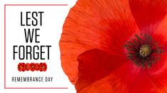 a red flower with the words, let we forget remembrance day