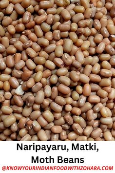 I've written a detailed post about the uses of moth beans. Please click the link and check out the post. Moth Beans Recipe, Wooly Bear Moth, Misal Pav Recipes, Massive Garden, Malaysian Moon Moth, Moth Balls, Indian Dal, Beans Image, Moth Blankets