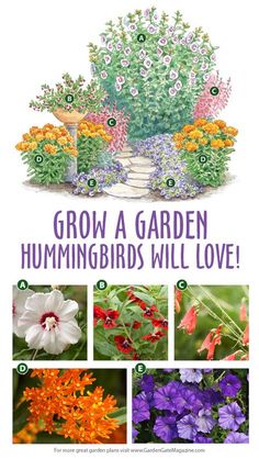 an image of flowers and plants with the words grow a garden hummingbirds will love