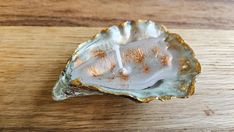 an open oyster shell sitting on top of a wooden table