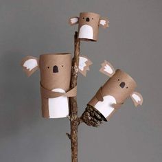 four toilet paper roll koalas on a tree branch