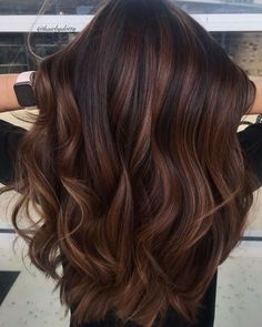 Red High Light Hair Dark Brown, Dark Brown Hair With Honey Brown Highlights, Hair For Deep Autumn, Brown Autumn Hair, Brown Hair 2024 Trends, 2024 Womens Haircuts, Work Appropriate Hair Color, Mohagany Brown Hair, Hair Colour For Curly Hair