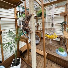 a cat climbing up the side of a tree on top of a wooden floor next to a hammock