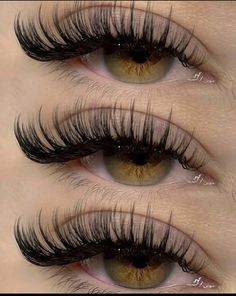 Super Cat Eye Lash Extensions, Gene Fir Cu Fir, Ideas For Pfp, Fox Eye Lash Extensions, Foxy Lashes, Coloured Lashes, Lash Ideas, Natural Fake Eyelashes, Lashes Fake Eyelashes