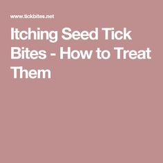 a pink background with the words pitching seed tick bites - how to treat them?