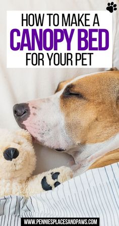 How to Make a Canopy Bed for Your Pet Canopy Frame, Dogs Love, Canopy Bed, Time Of Day, Stressed Out, Safe Space