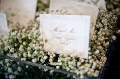 babys breath escort cards Wedding Card Display, Baby's Breath Wedding, Bridal Guide, Seating Cards, Card Display, Wedding Organization, Jewish Wedding, Baby's Breath, Wedding Wishes