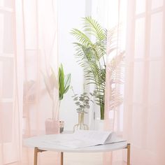 a white table with two plants on it in front of a window and a book