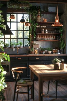 a kitchen with lots of plants growing on the wall and shelves above it is shown