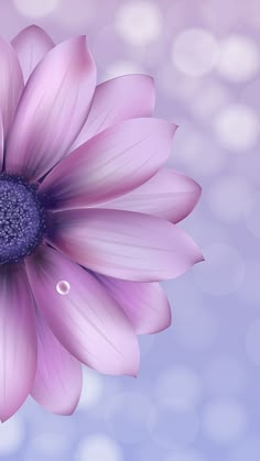 a large purple flower with water droplets on it's petals, in front of a blurry background