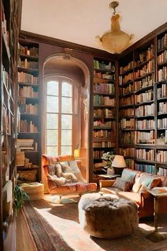 Intellectual Living Room, Antique Vibe Living Room, Cottage Core Library Aesthetic, Affordable Home Library, Small House Library Aesthetic, Library Style Living Room, Grand Home Library, Small Home Library Room Cozy, Small Library In House