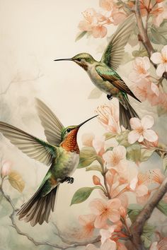 two hummingbirds are flying near pink flowers