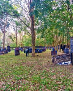 several barrels are in the middle of a wooded area with trees and leaves on the ground