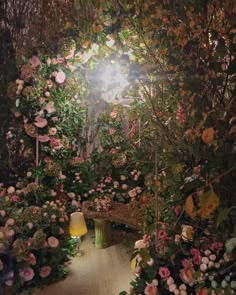 a garden with lots of flowers on the ground and a light shining through the trees