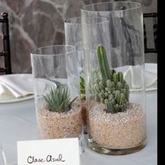 three glass vases filled with plants on top of a white table cloth covered table