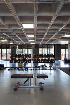 an empty gym with rows of exercise benches and dumbbells in the center, surrounded by large windows