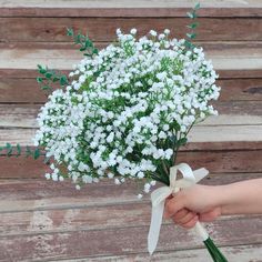 a hand holding a bouquet of white baby's breath