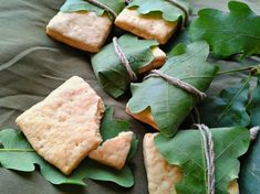 some cookies are laying on top of leaves and tied with twine to make them look like they were made out of crackers