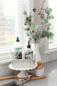 a kitchen counter with pine cones and soaps on it