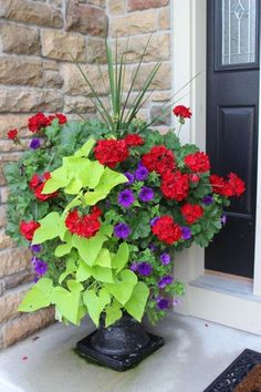 a potted plant with red and purple flowers sitting on the front porch next to a door