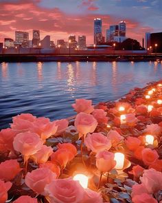 many candles are lit in front of the water with pink roses growing on it and buildings in the background