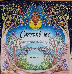 an image of the front cover of a children's book called carony les