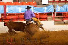 a man riding on the back of a brown horse next to a cow in an arena