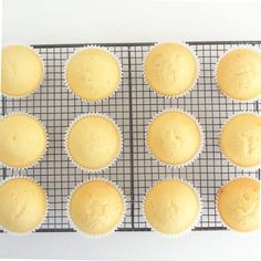 twelve yellow cupcakes on a cooling rack ready to be baked in the oven