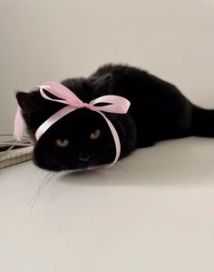 a black cat with a pink ribbon on its head is laying next to a pair of scissors