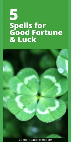 Good luck witches, four leaf clover White Magic Love Spells, Pagan Holidays, Wish Spell, Spells That Actually Work, Good Luck Spells, Good Luck Symbols