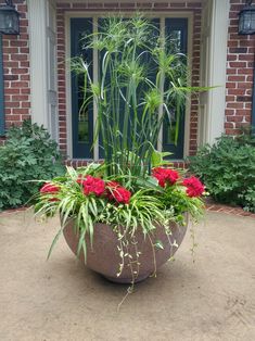 a planter filled with red flowers in front of a house