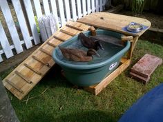 two ducks in a large tub on the grass