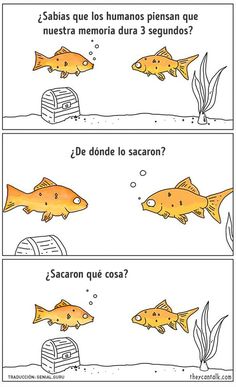 two comics with goldfish in the water