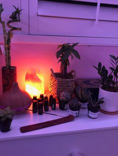 a table topped with lots of potted plants and bottles filled with essential oils on top of it