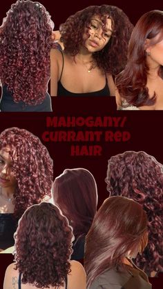 Cherry Red Hair Color, Mahogany Red Hair, Red Hair Ideas, Red Hair Color Ideas, Hair Color Mahogany, Mahogany Hair, Cherry Red Hair, Dyed Curly Hair