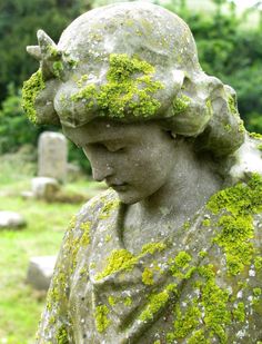 a statue with moss growing on it's head and shoulders in a cemetery yard