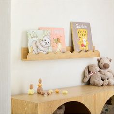 there are two books on the shelf above the stuffed animals