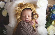 a baby wrapped in a blanket with a stuffed animal on it's head and wearing a lion hat