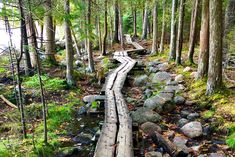 a wooden walkway in the middle of a forest with rocks and trees on both sides