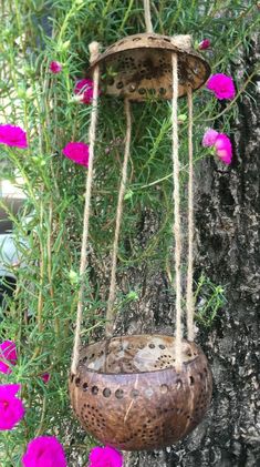 a bird feeder hanging from the side of a tree with pink flowers in the background